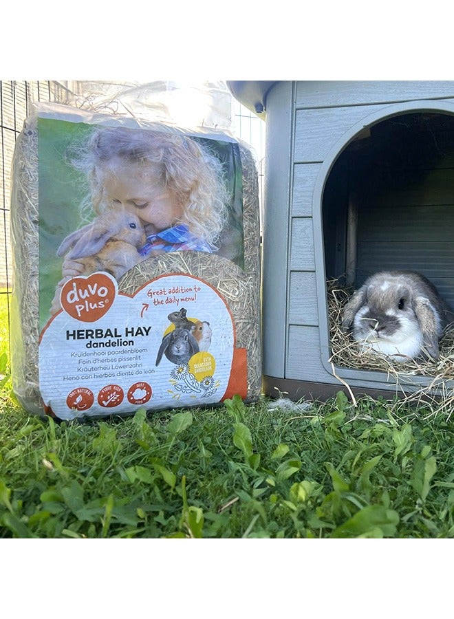 Duvo Herbal Hay Dandelion - 500 GM - Image 2