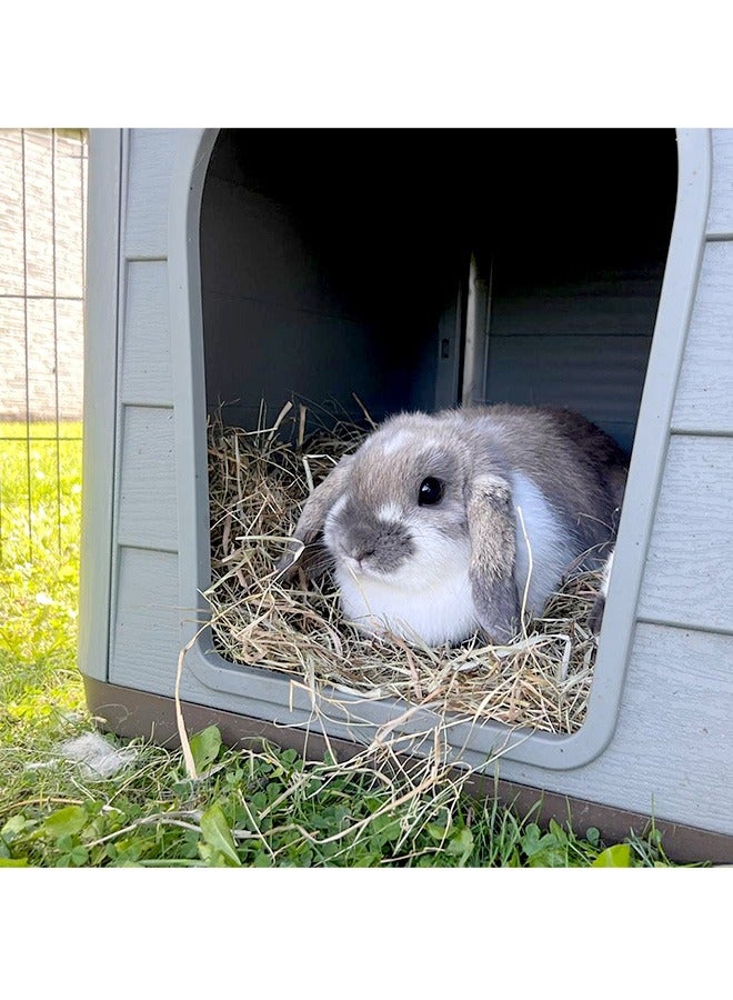Duvo Herbal Hay Dandelion - 500 GM - Image 3