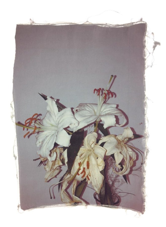Swaying Flowers  - Image 3