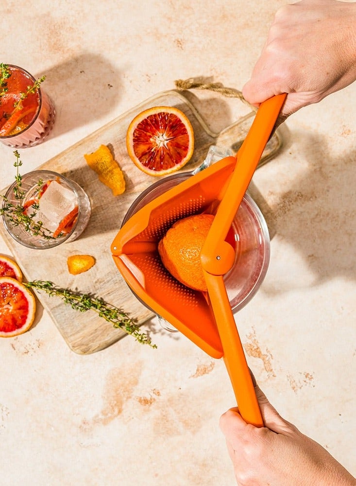دريم فارم Fluicer Orange Juicer  - Image 3