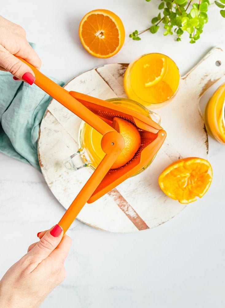 دريم فارم Fluicer Orange Juicer  - Image 4