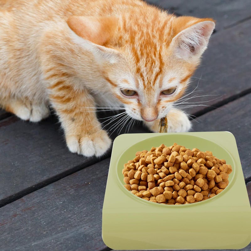 Green Raised Edge Anti Spill Pet Bowl For Large Dogs And Cats Reusable Feeding Dish - Image 4