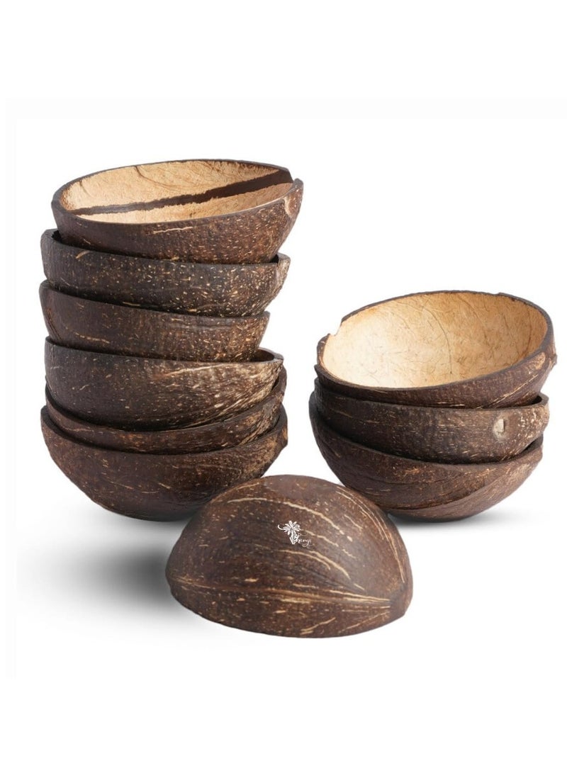 Thenga أوعية ثينجا الطبيعية البيضاوية بقشر جوز الهند - مجموعة من ١٠ قطع، ١٥٠ مل، مثالية للآيس كريم والوجبات الخفيفة والفواكه والسلطات | الحفلات والمناسبات - Image 1