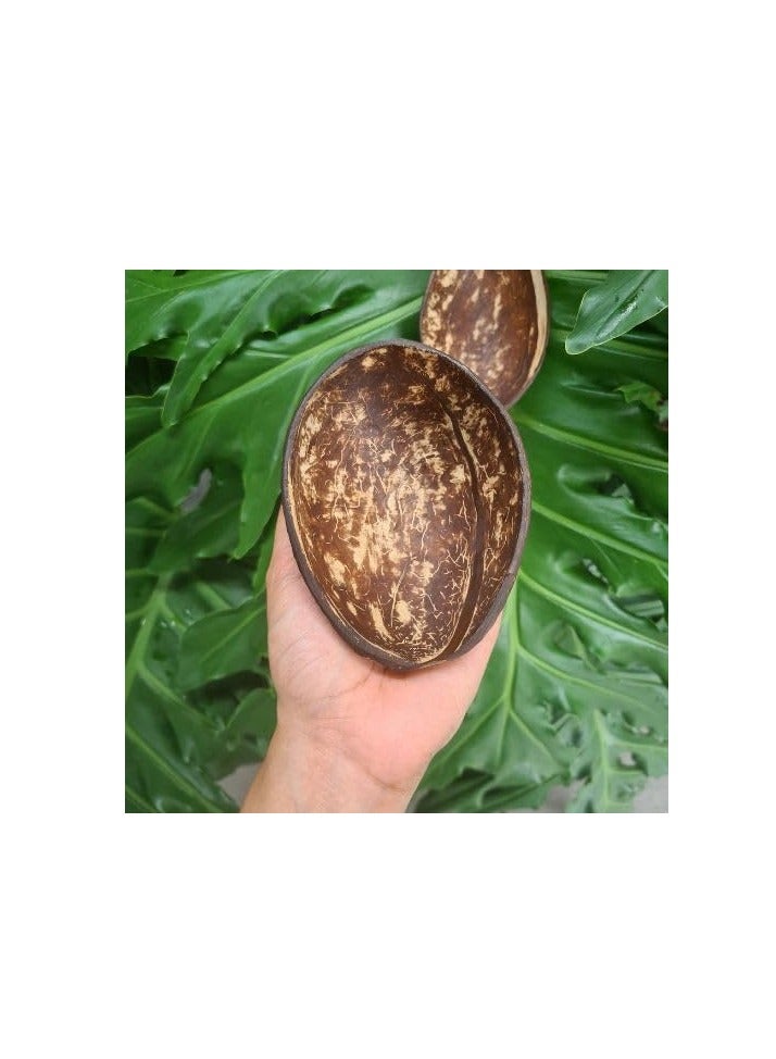 Thenga أوعية ثينجا الطبيعية البيضاوية بقشر جوز الهند - مجموعة من ١٠ قطع، ١٥٠ مل، مثالية للآيس كريم والوجبات الخفيفة والفواكه والسلطات | الحفلات والمناسبات - Image 2