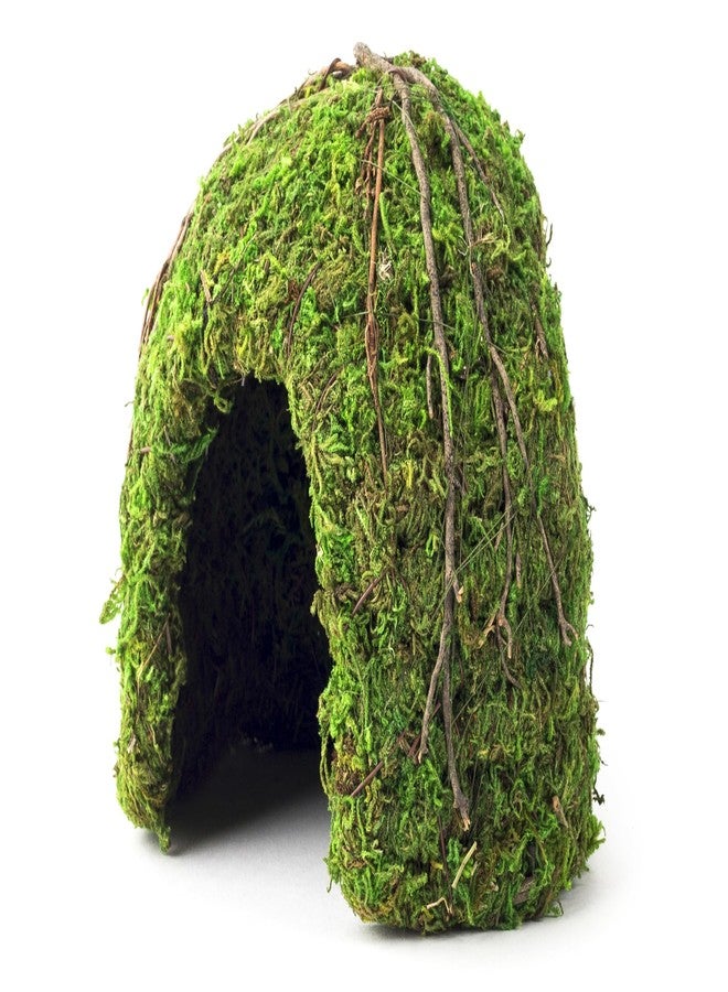 Galapagos (05366 Mossy Dome Hide, 6 in, Galápagos Green - Image 1