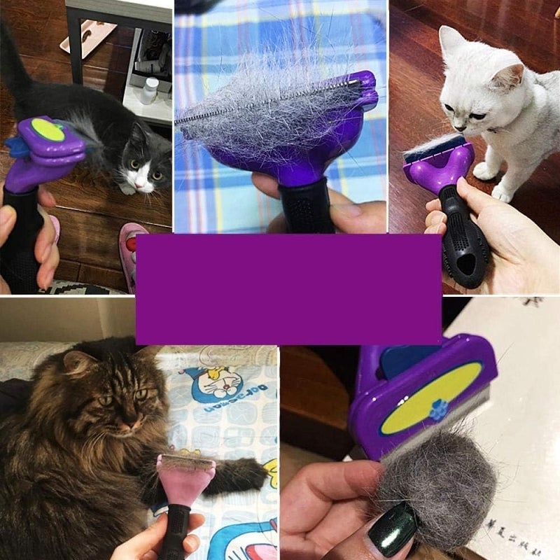 ZURITY Cat & Dog Hair Removal Comb | Pet Cleaning Comb | Pet Hair Remover | Portable Self Removing Professional Dog Shedding Brush | Non Slip Grooming Brush (Pack of 1,Multicolor) - Image 5