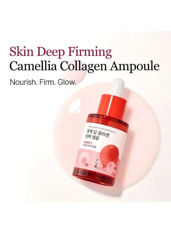 راوند لاب أمبول ROUND LAB Camellia Deep Collagen لشد ونضارة البشرة 30 مل، سيروم مرطب للوجه بخلاصة زهرة الكاميليا والكولاجين والنياسيناميد والسكوالان والأدينوسين، عناية مرطبة لبشرة ناعمة ومشدودة المظهر - Image 2