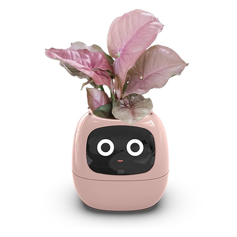 Smart FlowerpotsSmart Pet PlanterAi PlanterIntelligent FlowerpotsMultiple Expressions7 Smart Sensors And Ai Chips Make Raising Plants Easy And Fun For Living RoomDeskPlantfree Pink