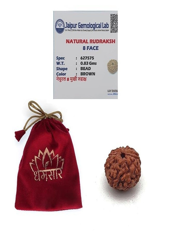 Dharmsaar Rudraksha Mukhi Original Indonesian Bead | Lab Certified Natural Rudraksha Mukhi for Attraction, Meditation & Spiritual Energy (with Box) (8 Mukhi) - Image 1