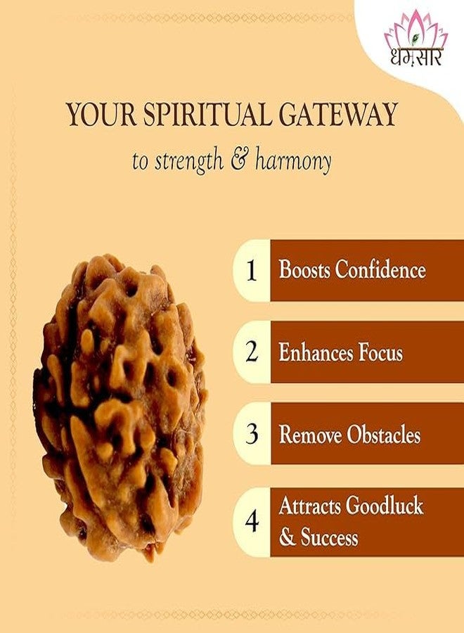 Dharmsaar Rudraksha Mukhi Original Indonesian Bead | Lab Certified Natural Rudraksha Mukhi for Attraction, Meditation & Spiritual Energy (with Box) (8 Mukhi) - Image 5