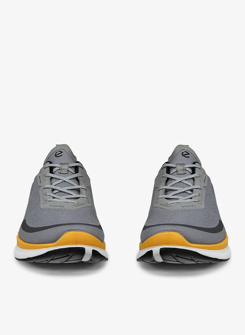 إيكو إيكو بيوم . دوف صن رايز