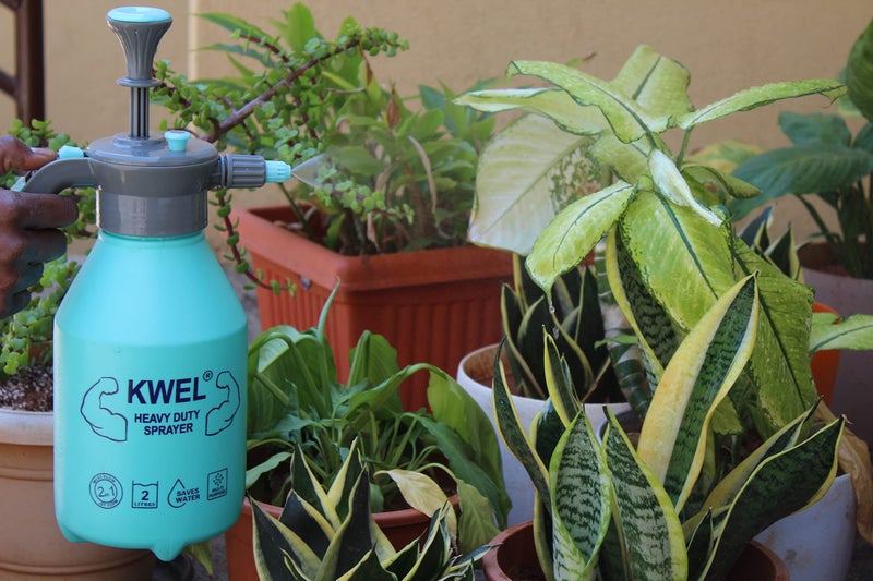 KWEL 1 Pc Heavy Duty Garden Pump Pressure Sprayer, Lawn Sprinkler, Water Mister, Spray Bottle for Herbicides, Pesticides, Fertilizers, Plants Flowers (2L Capacity), Blue - Image 5