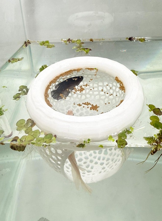 HOZOE Aquarium Floating Betta Fish Skins, Betta or Shrimp Feeder, Cave and Hammock, Small Fish Feeding Rings, Aquarium Hiding Feeding Decorative Accessories (White) - Image 1