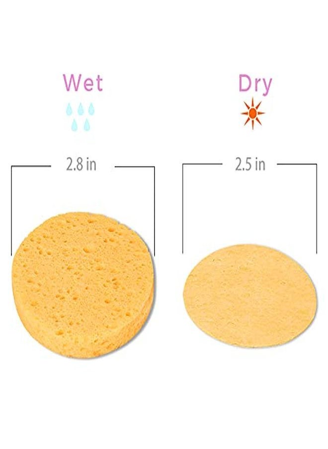GAINWELL 5-Colored Natural Compressed Facial Sponges, For Facial Cleansing, Reusable & Eco-Friendly, 50 Pcs  - Image 5