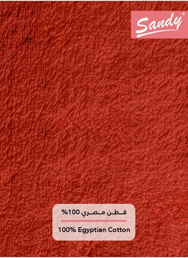 Sandy Sandy 100% Cotton Luxury Bath Towel for Face, Ideal for Daily Use, Quick Dry, High Absorbent and Super Soft 70x40 cm, Terra  - Image 5