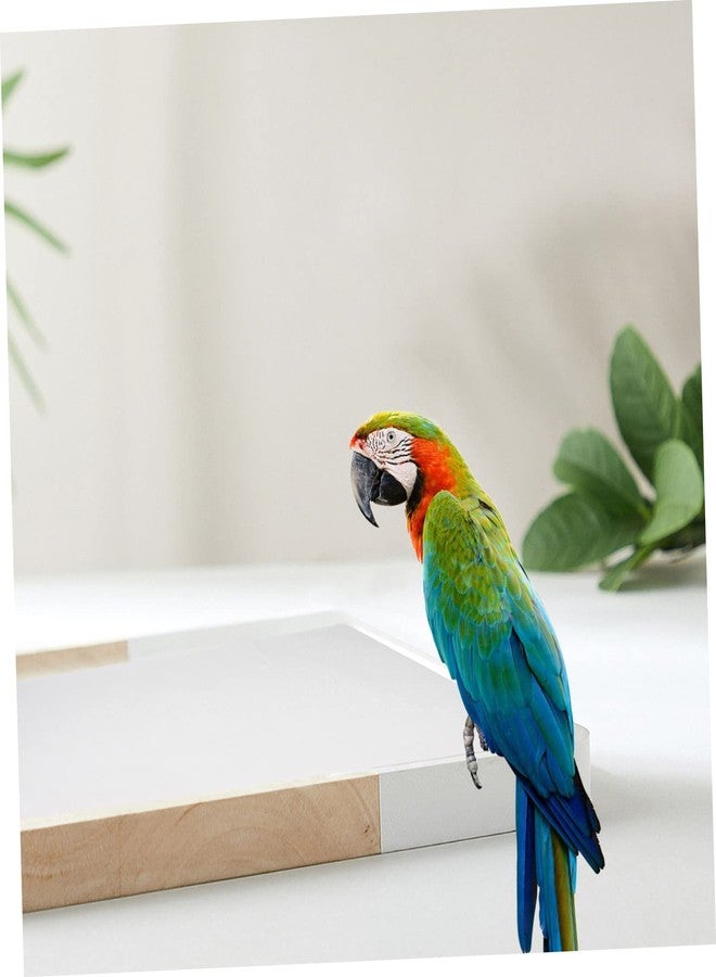 VICASKY 100Pcs Disposable Bird Cage Cushion Papers Absorbent Bird Cage Bottom Pads for Parrots Cockatiels and Conures Easy Clean Liner for Mess Birdcage Maintenance - Image 5