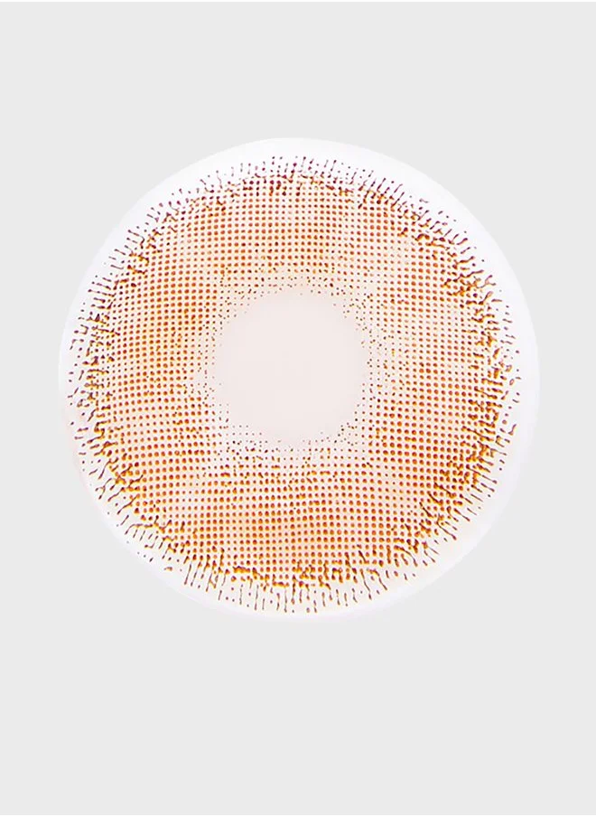 Layala Layala 2022 Collection - 2 lenses - Avena Brown