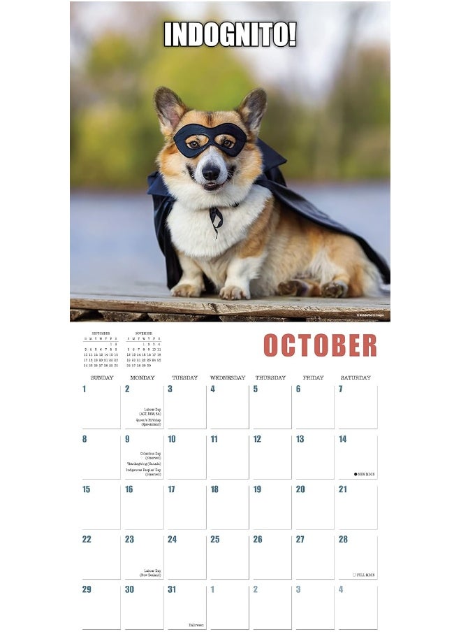 null - Mutt Memes 2023 Wall Calendar,16-Month Humor & Comic Calendar, 12" x 12" - Image 1