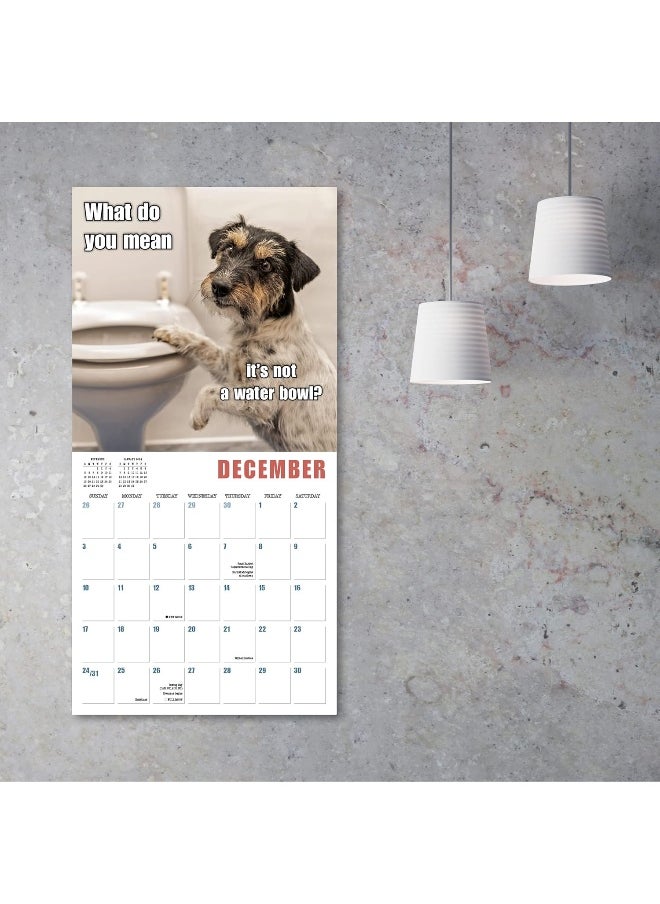 null - Mutt Memes 2023 Wall Calendar,16-Month Humor & Comic Calendar, 12" x 12" - Image 1