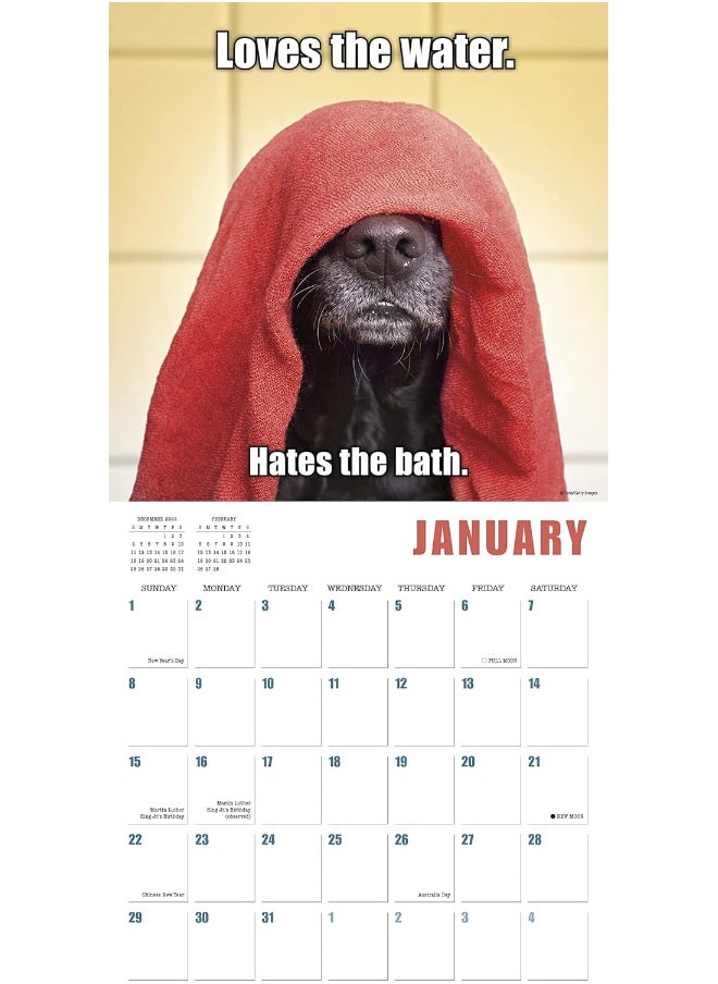 null - Mutt Memes 2023 Wall Calendar,16-Month Humor & Comic Calendar, 12" x 12" - Image 1
