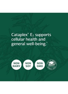 Standard Process Cataplex E2 90 Tablets  - Image 5