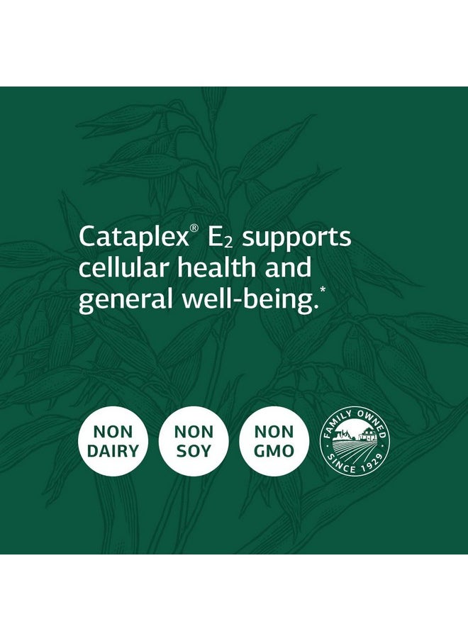 Standard Process Cataplex E2 90 Tablets  - Image 5