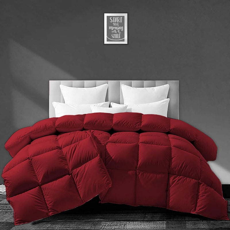 BEDDY FUSION 500 GSM Winter Comforter Single Size 60X90 Premium Collection Heavy Winter Quilted Comforter 500 GSM Microfiber Fill DuvetBlanket Single Size Burgundy Color - Image 1