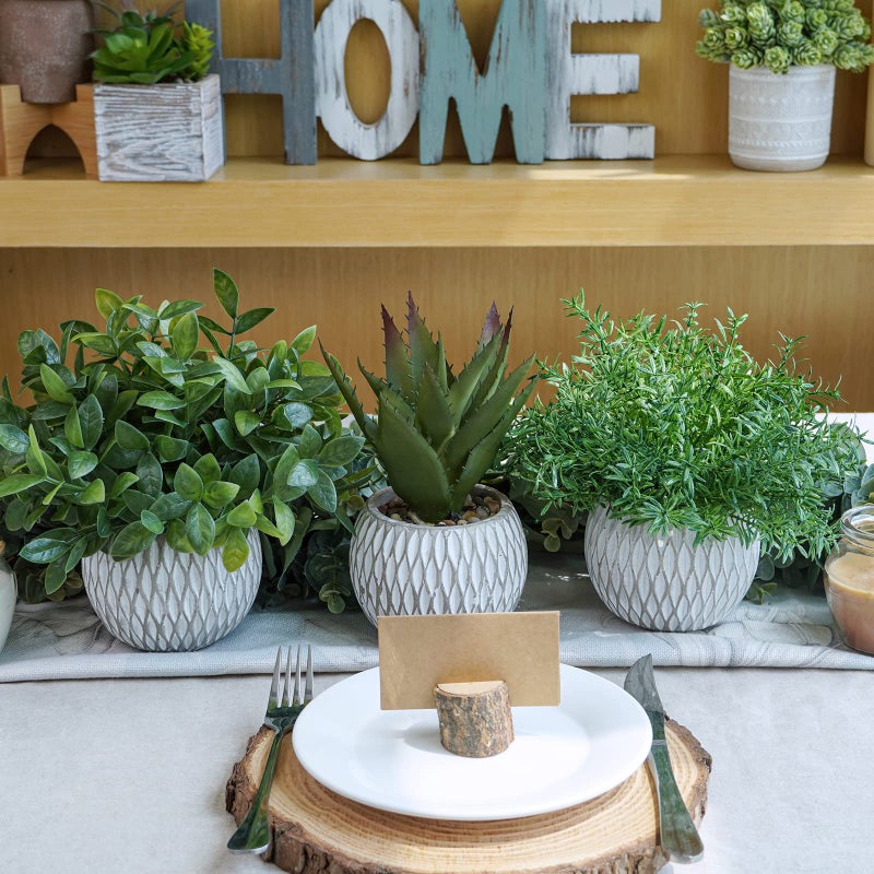 Winlyn Winlyn 3 Pcs Small Potted Plants Artificial Eucalyptus Rosemary Plants and Aloe Succulent Plant in Gray Geometric Cement Pots for Gifts Table Windowsill Shelf Home Bathroom Indoor Outdoor Green Decor - Image 3