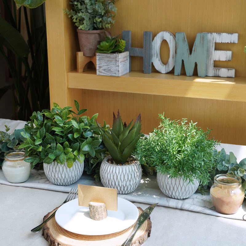 Winlyn Winlyn 3 Pcs Small Potted Plants Artificial Eucalyptus Rosemary Plants and Aloe Succulent Plant in Gray Geometric Cement Pots for Gifts Table Windowsill Shelf Home Bathroom Indoor Outdoor Green Decor - Image 4