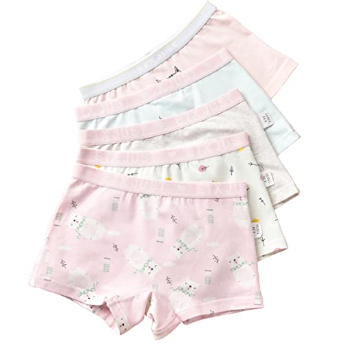 Blueleyu Underwear Girls Boxer Briefs Cotton Comfort Breathable Underpants Boxer for Toddler and Big Girls, 5 of Pack (Gb055), 10-12 Years - Image 1