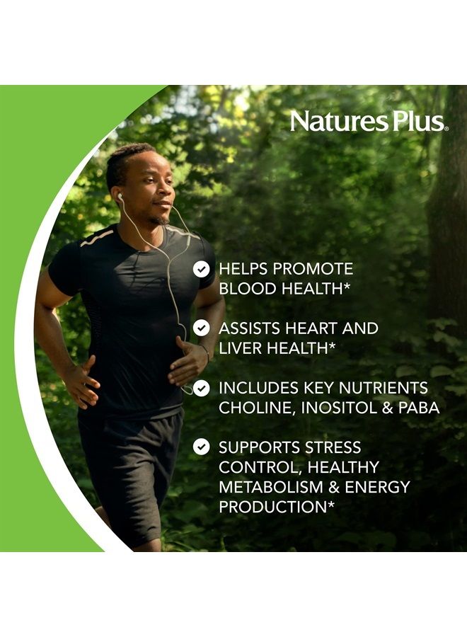 Nature's Plus NaturesPlus Mega B-100 Complex - 90 Sustained Release Vegetarian Tablets - Energy & Brain Booster - Gluten Free - 90 Servings - Image 1