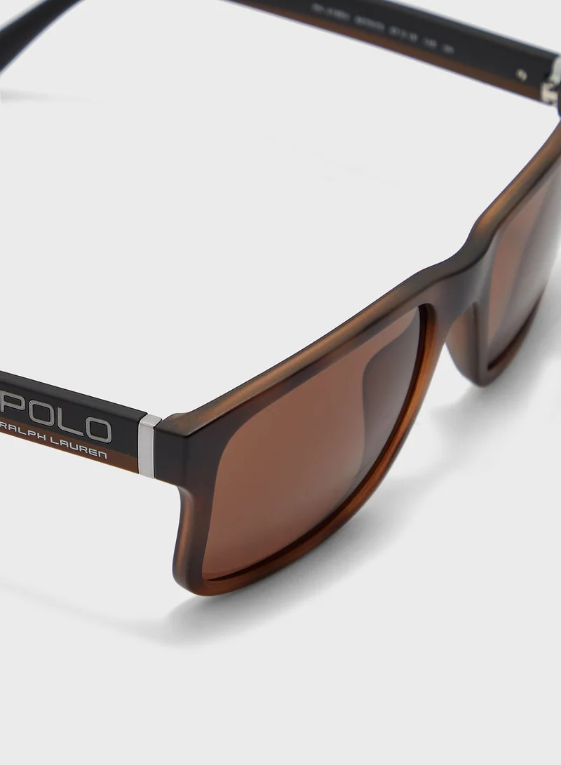POLO RALPH LAUREN 0Ph4195U Wayfarers Sunglasses