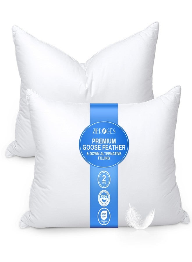 zibroges Feather Pillows Queen Size Set of 2 - Goose Down Hotel Bed Pillow for Sleeping, Soft 600 Thread Count Cotton Cover, Fluffy Support Surround Fill Polyester for Side, Back and Stomach Sleepers - Image 1