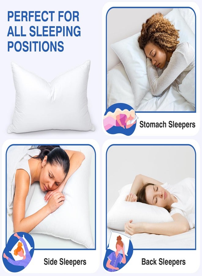 zibroges Feather Pillows Queen Size Set of 2 - Goose Down Hotel Bed Pillow for Sleeping, Soft 600 Thread Count Cotton Cover, Fluffy Support Surround Fill Polyester for Side, Back and Stomach Sleepers - Image 4