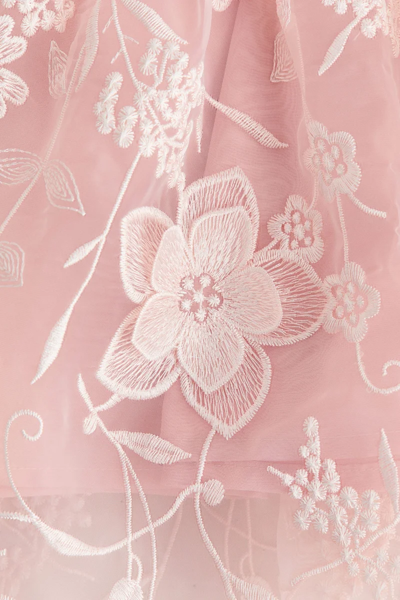 H&M Embroidered organza dress