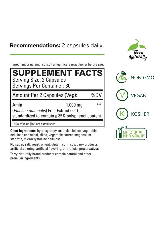 Terry Naturally كوليسترول صحي مع أملاء 60 كبسولة يدعم مستويات ثلاثي الجليسريد الصحية و HDL الجيد غير معدّل وراثيًا نباتي كوشير 30 حصة - Image 3