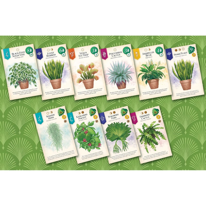AEG Games AEG & Flatout Games | Verdant - A Board Game for the Houseplant Collector | From the Creators of Cascadia | Easy to Learn | Quick to Play | Ages 10+ | 1-5 Players - Image 2
