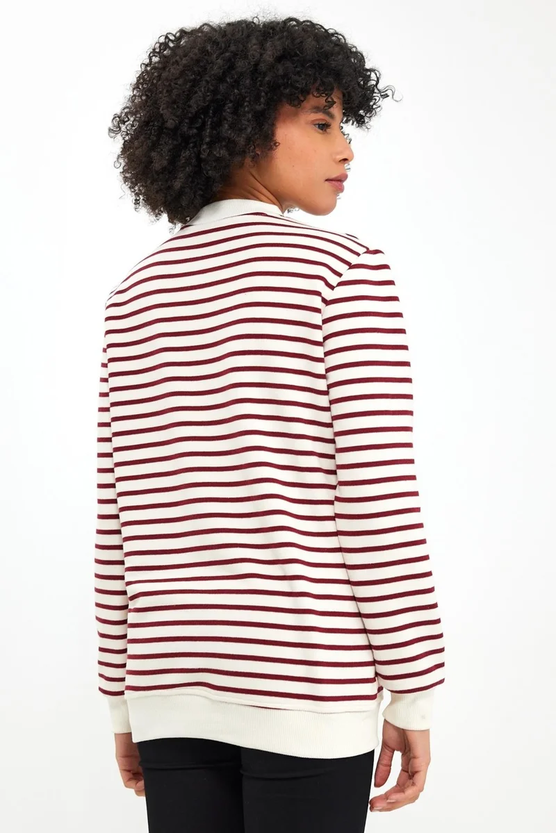 Alexander Gardi Crew Neck Striped SWEATSHIRT(E23-761A-BYN)