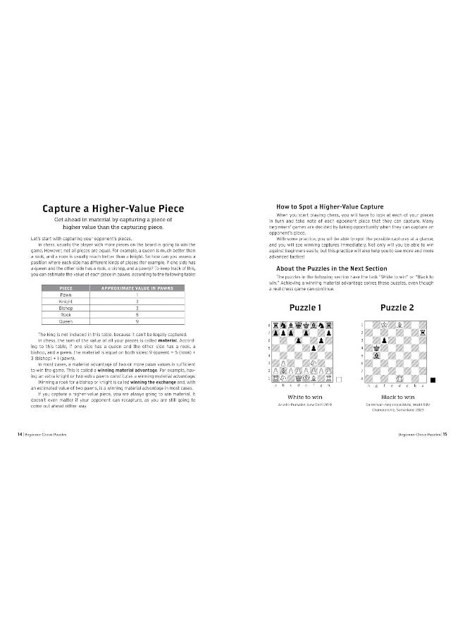 null - Beginner Chess Puzzles: 500 Practice Exercises to Take Your Game to the Ne - Image 1