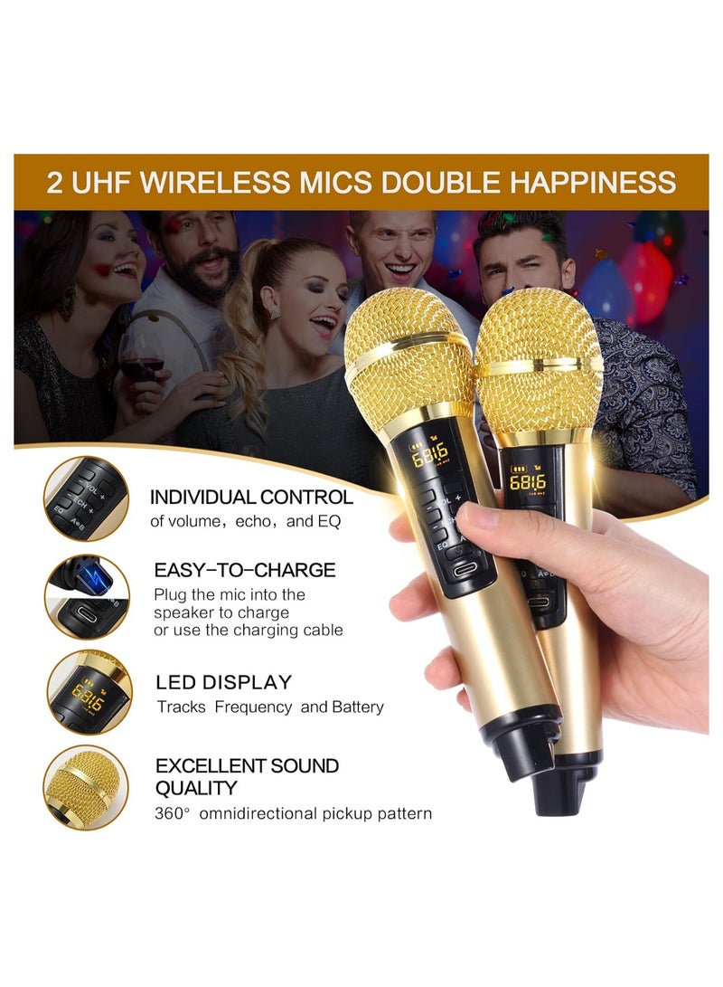 SDRD Karaoke Machine Portable Bluetooth Speaker With 2 UHF Wireless Microphones Speaker System With Colorful Gradient LED Lights For Adults And Kids - Image 2