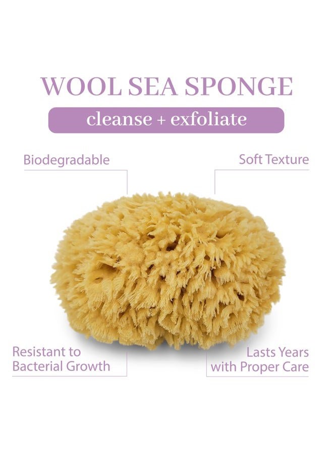 Baudelaire Sea Wool Sponge by Baudelaire 5.5" - Natural Sea Sponges for Bathing - Bath Sea Sponge for Shower - Natural Sea Sponge Loofah - Durable - Sustainable & Environment-Friendly Natural Sponges for Body - Image 2