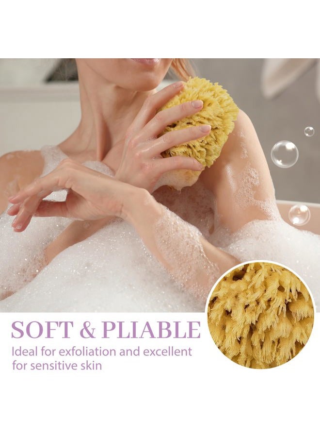Baudelaire Sea Wool Sponge by Baudelaire 5.5" - Natural Sea Sponges for Bathing - Bath Sea Sponge for Shower - Natural Sea Sponge Loofah - Durable - Sustainable & Environment-Friendly Natural Sponges for Body - Image 5