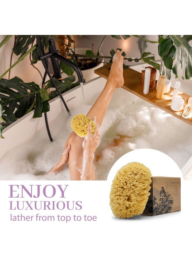 Baudelaire Sea Wool Sponge by Baudelaire 5.5" - Natural Sea Sponges for Bathing - Bath Sea Sponge for Shower - Natural Sea Sponge Loofah - Durable - Sustainable & Environment-Friendly Natural Sponges for Body - Image 3