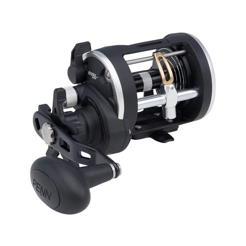 PENN Rival Level Wind Conventional Boat Fishing Reel, HT-100 Star Drag, Max of 15lb | 6.8kg, Forged and Machined Aluminum Spool, RIV20LW, Black - Image 1