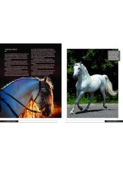 Chartwell Books Majestic Horse: Nobility, Beauty, and Spirit  - Image 2