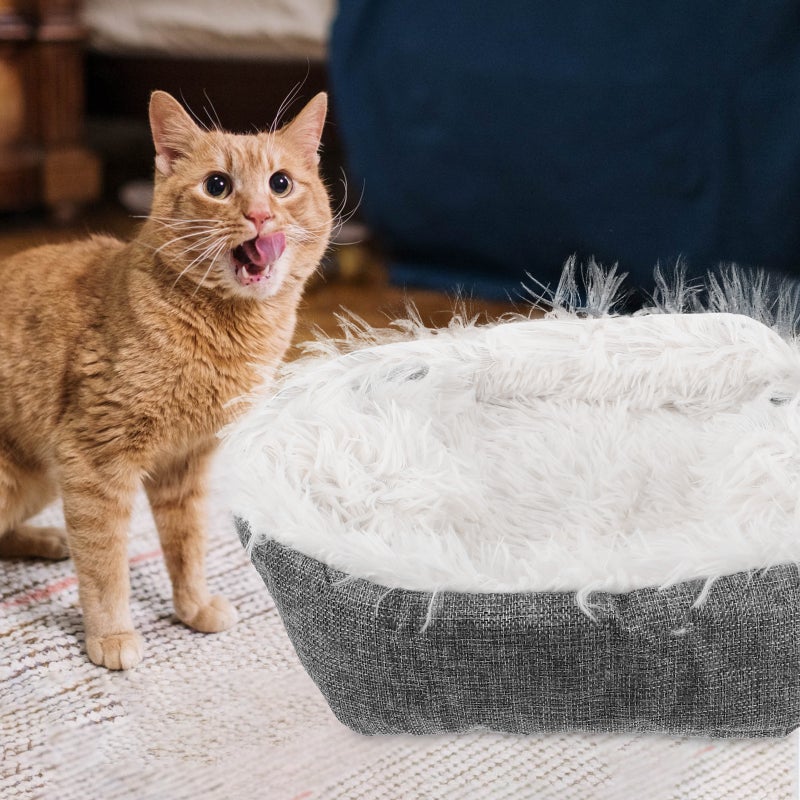 🐾 سرير قطط بحواف مرتفعة للنوم المريح والاستخدام الداخلي والسفر - Image 5