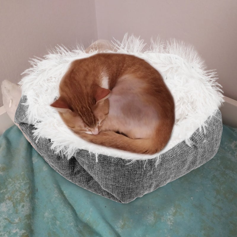 🐾 سرير قطط بحواف مرتفعة للنوم المريح والاستخدام الداخلي والسفر - Image 4