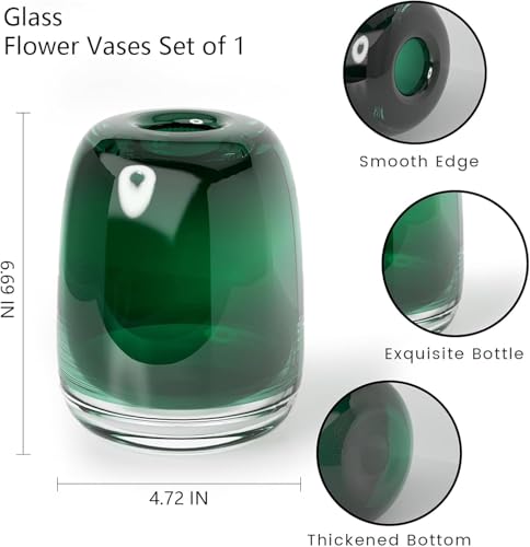 Relexome Dark Green Glass Flower Vase for Centerpieces Flowers 6.7 Inch Round Modern Glass Bud Vase Decorative Vases for Home Decor, Living Room, Dining Table, Entryway, Shelf, Office - Image 2