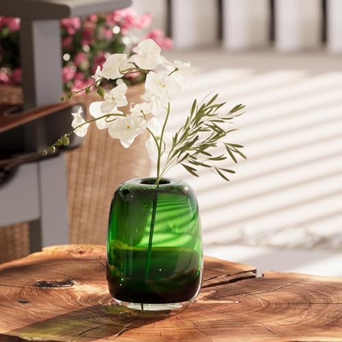 Relexome Dark Green Glass Flower Vase for Centerpieces Flowers 6.7 Inch Round Modern Glass Bud Vase Decorative Vases for Home Decor, Living Room, Dining Table, Entryway, Shelf, Office - Image 4