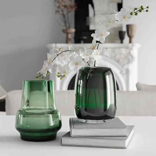 Relexome Dark Green Glass Flower Vase for Centerpieces Flowers 6.7 Inch Round Modern Glass Bud Vase Decorative Vases for Home Decor, Living Room, Dining Table, Entryway, Shelf, Office - Image 5